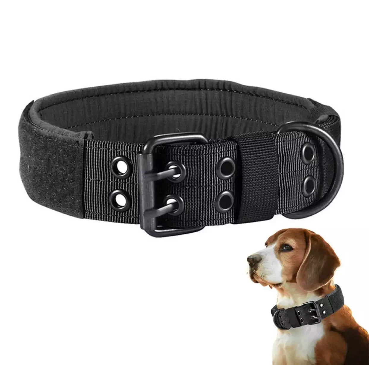 Stabiles Militär Hundehalsband mit Schnalle