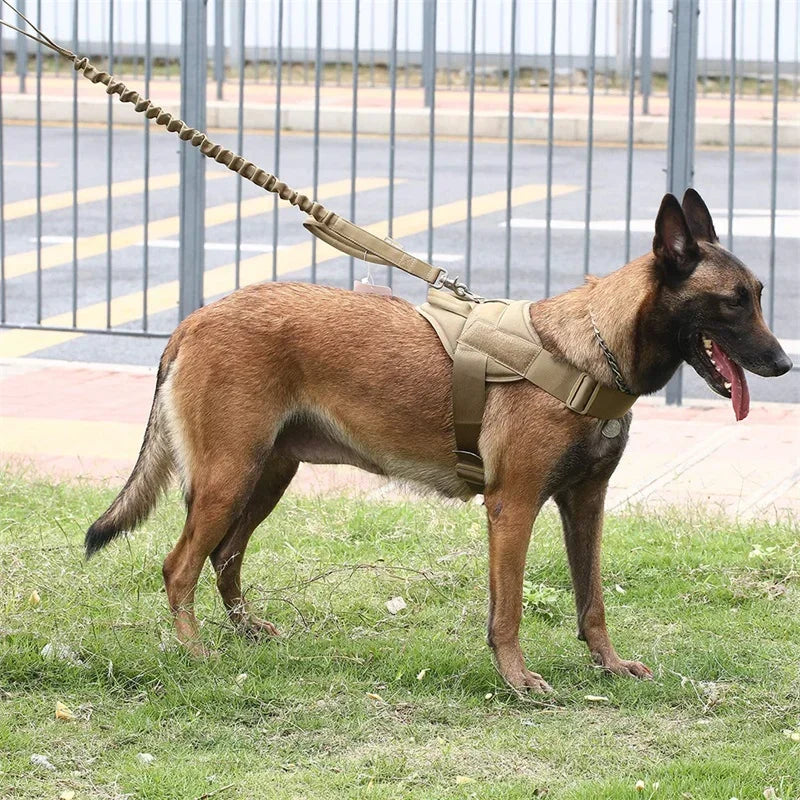 Leichtes Militär Hundegeschirr mit Griff